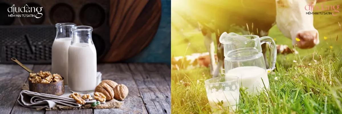 Nên Uống Loại Sữa Nào Trước Khi Đi Ngủ?